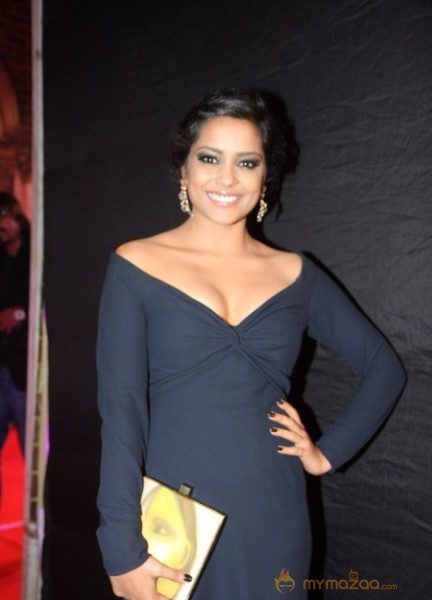 BOLLYWOOD CELEBS AT STARDUST AWARDS PHOTOS