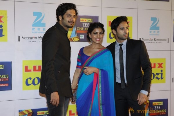 Bollywood Celebs At The Zee Cine Awards 2014