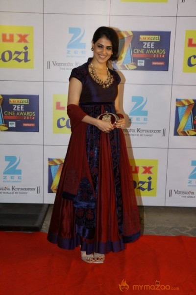 Bollywood Celebs At The Zee Cine Awards 2014