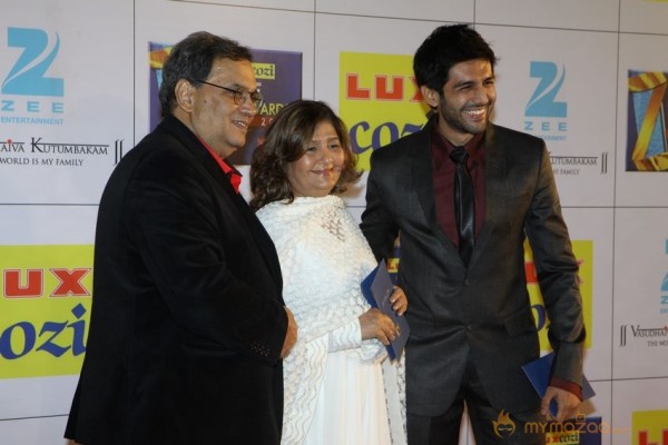 Bollywood Celebs At The Zee Cine Awards 2014