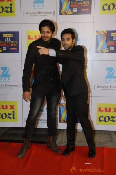 Bollywood Celebs At The Zee Cine Awards 2014