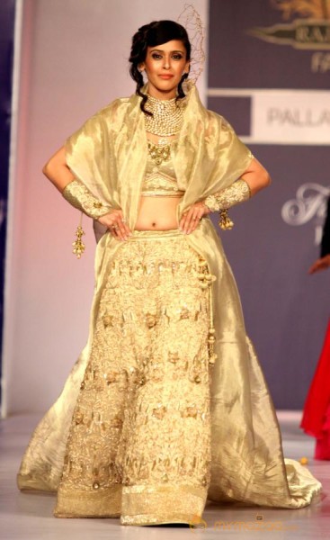 Bollywood & Maharana Arvind Singh At Rajasthan Fashion Week  