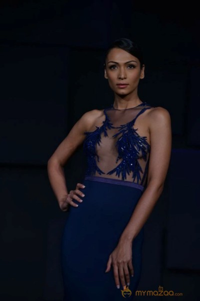 Celebs At Blenders pride Fashion Tour 2013 Photos