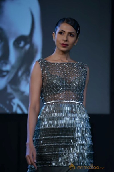 Celebs At Blenders pride Fashion Tour 2013 Photos