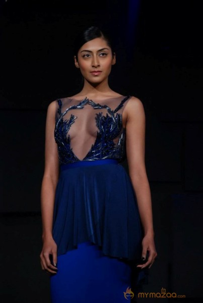 Celebs At Blenders pride Fashion Tour 2013 Photos