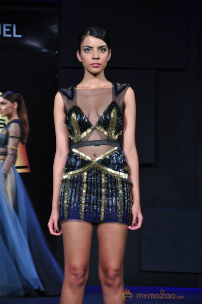 Celebs At Blenders pride Fashion Tour 2013 Photos