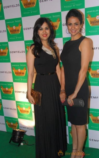 Celebs at Retail Jeweller India Awards 2014
