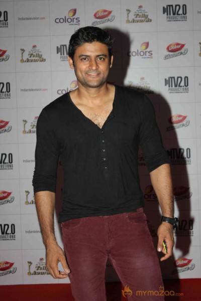 Colors TV Indian Telly Awards 2013 