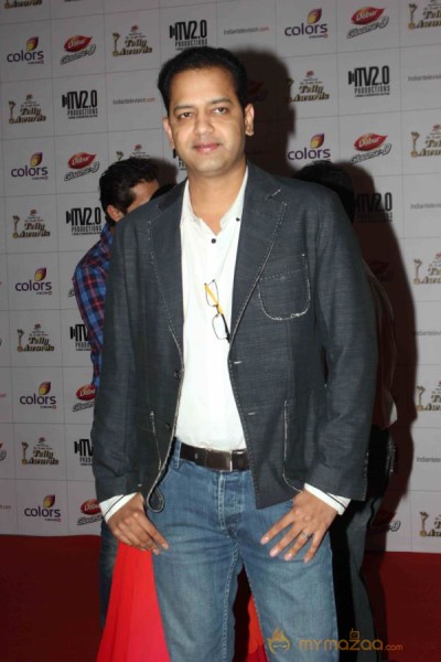 Colors TV Indian Telly Awards 2013 