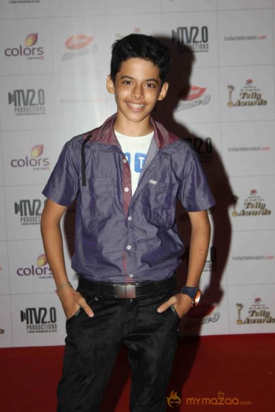 Colors TV Indian Telly Awards 2013 
