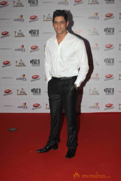 Colors TV Indian Telly Awards 2013 