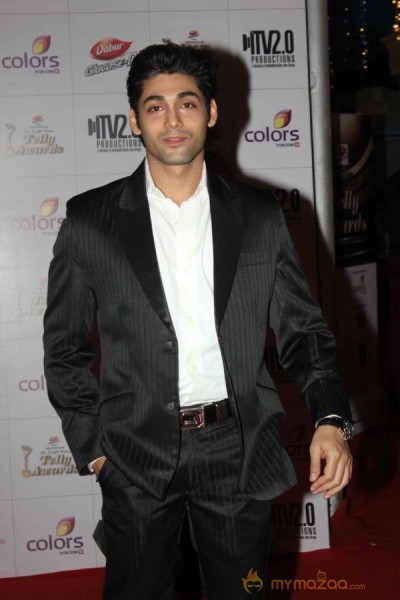 Colors TV Indian Telly Awards 2013 