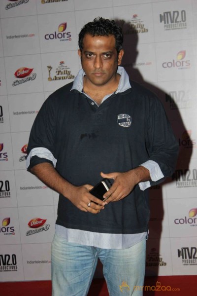 Colors TV Indian Telly Awards 2013 