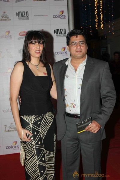 Colors TV Indian Telly Awards 2013 