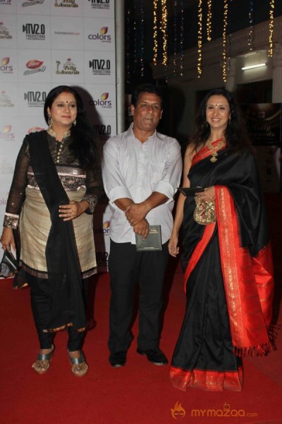 Colors TV Indian Telly Awards 2013 