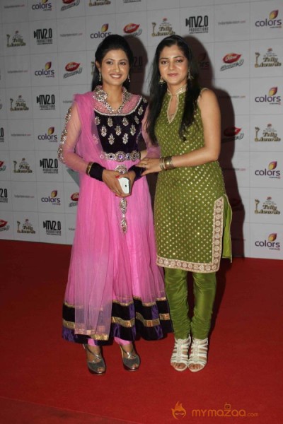 Colors TV Indian Telly Awards 2013 