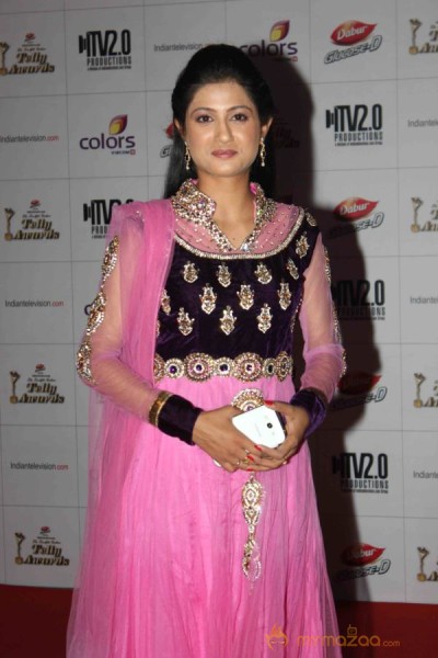 Colors TV Indian Telly Awards 2013 