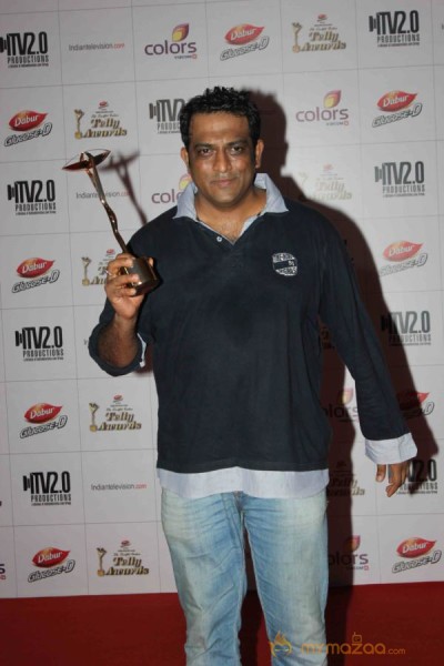 Colors TV Indian Telly Awards 2013 