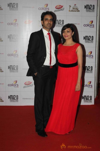 Colors TV Indian Telly Awards 2013 