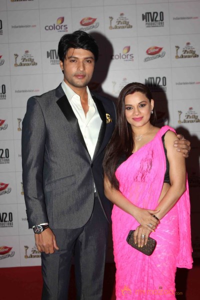 Colors TV Indian Telly Awards 2013 