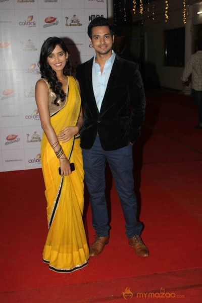 Colors TV Indian Telly Awards 2013 