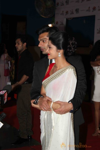 Colors TV Indian Telly Awards 2013 
