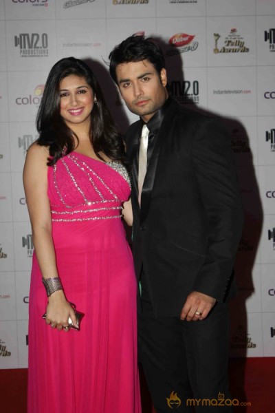 Colors TV Indian Telly Awards 2013 