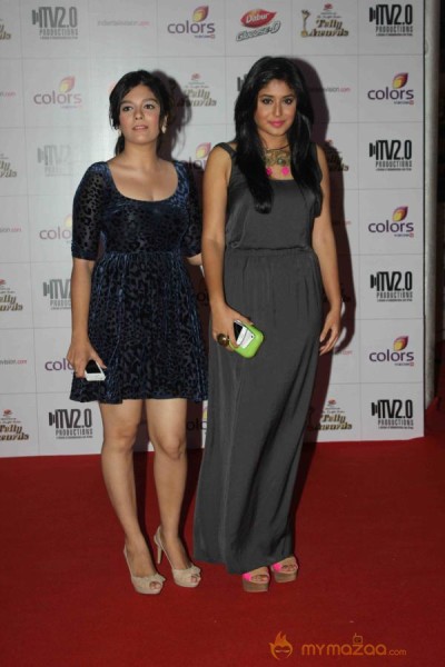 Colors TV Indian Telly Awards 2013 