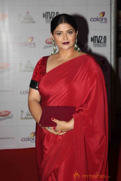 Colors TV Indian Telly Awards 2013 