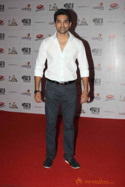 Colors TV Indian Telly Awards 2013 