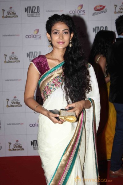 Colors TV Indian Telly Awards 2013 