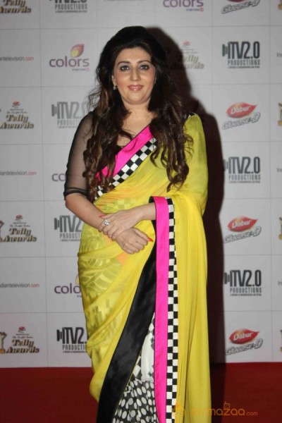 Colors TV Indian Telly Awards 2013 