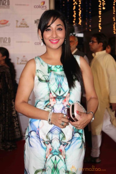 Colors TV Indian Telly Awards 2013 
