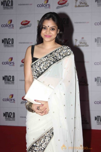 Colors TV Indian Telly Awards 2013 