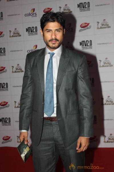 Colors TV Indian Telly Awards 2013 