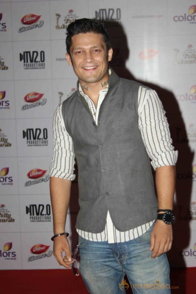 Colors TV Indian Telly Awards 2013 