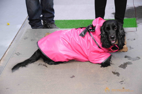 Designer Sonya Vajifdar Launch Her Rainwear  