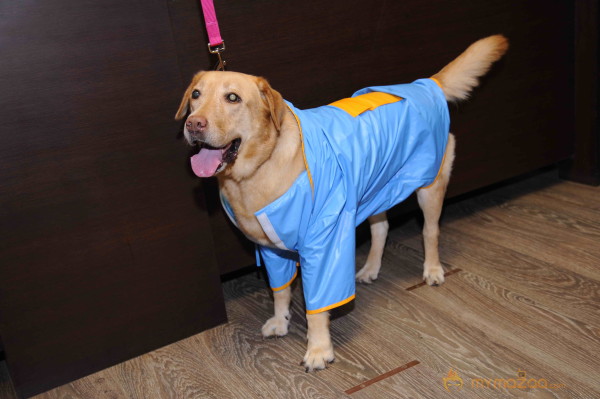Designer Sonya Vajifdar Launch Her Rainwear  