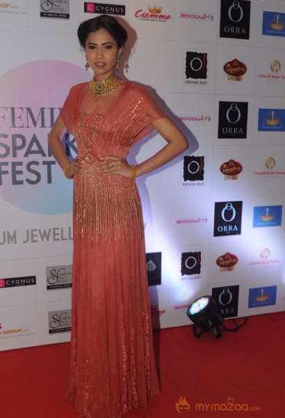 Femina Sparkle Fest 2014 Fashion Show Photos