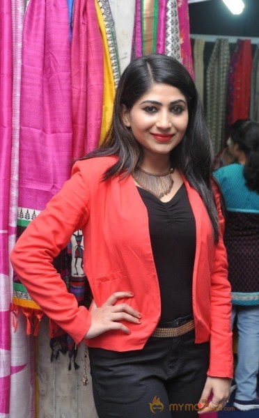 Gate Movie Team at Hastashilpi Silk India Expo Event Gallery