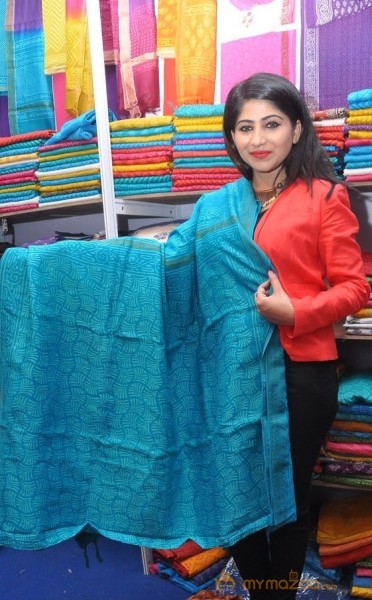 Gate Movie Team at Hastashilpi Silk India Expo Event Gallery