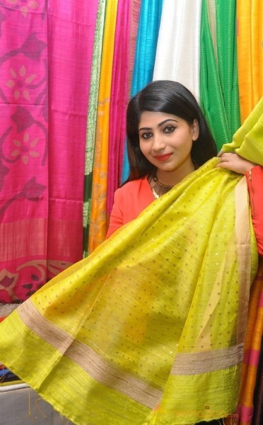 Gate Movie Team at Hastashilpi Silk India Expo Event Gallery