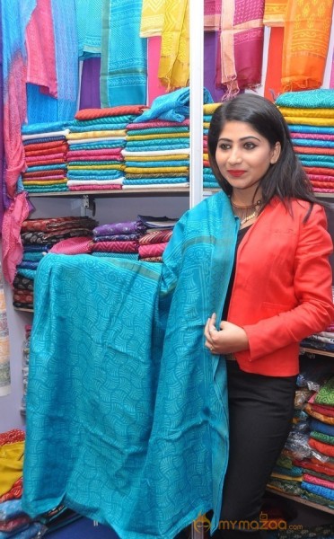 Gate Movie Team at Hastashilpi Silk India Expo Event Gallery