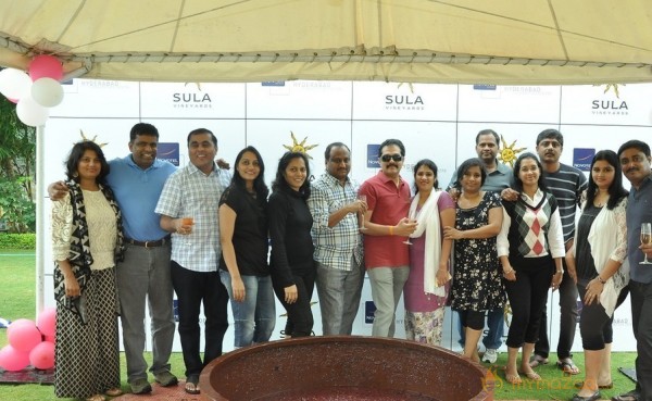 Grape Stomping Brunch Celebrations Gallery