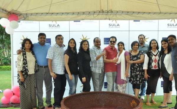 Grape Stomping Brunch Celebrations Gallery