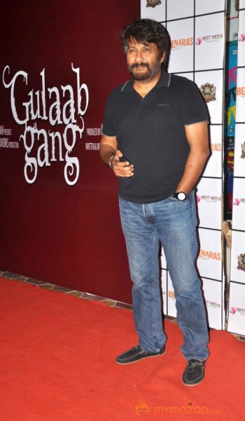 Gulab Gang wrap up party 