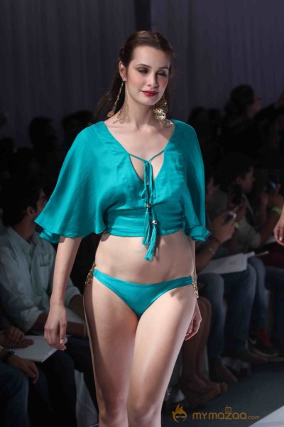 India Resortwear Fashion Week 2013 Photos2