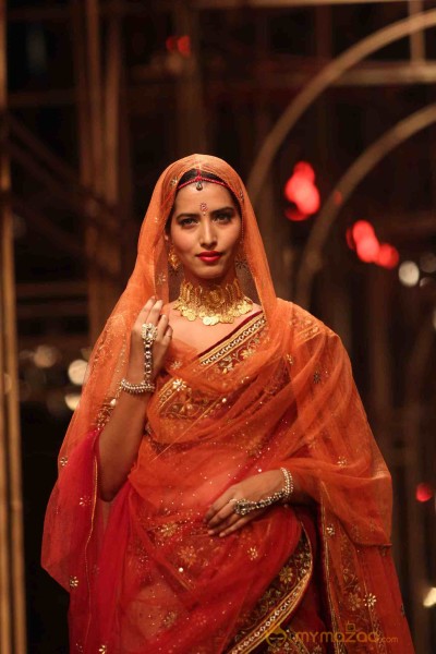 Indian Bridal Fashion Week 2013 Photos