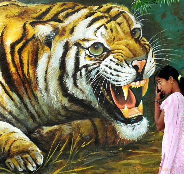 India's Amazing Street Art Photos