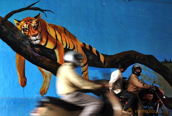 India's Amazing Street Art Photos